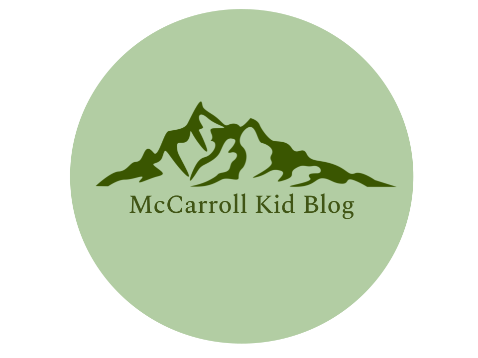 Hanna & Mike's Hawaii Blog